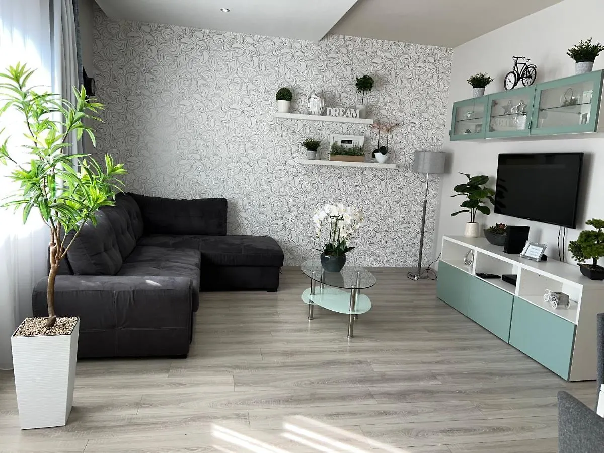 Downtown Dream Apartmans Seghedin